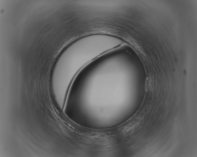 X0000087040434200704180941