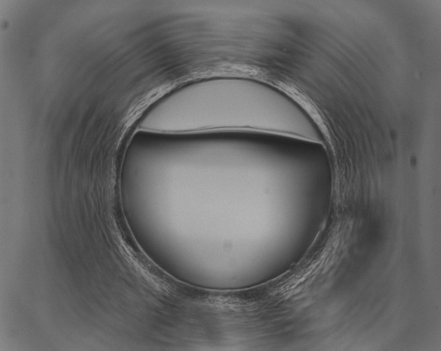 X0000087040437200704180941