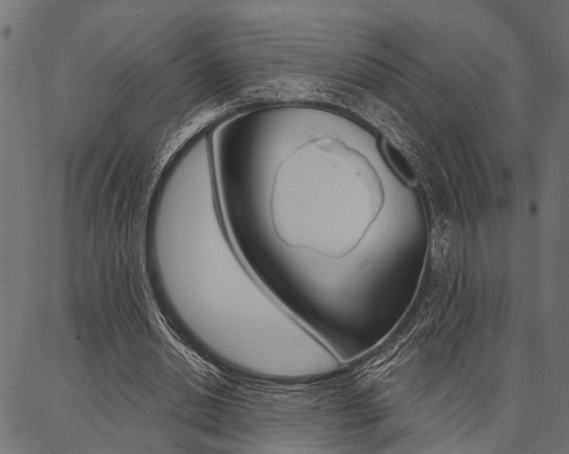 X0000087040438200704180941