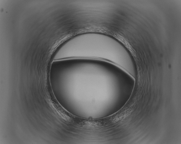 X0000087040442200704180941