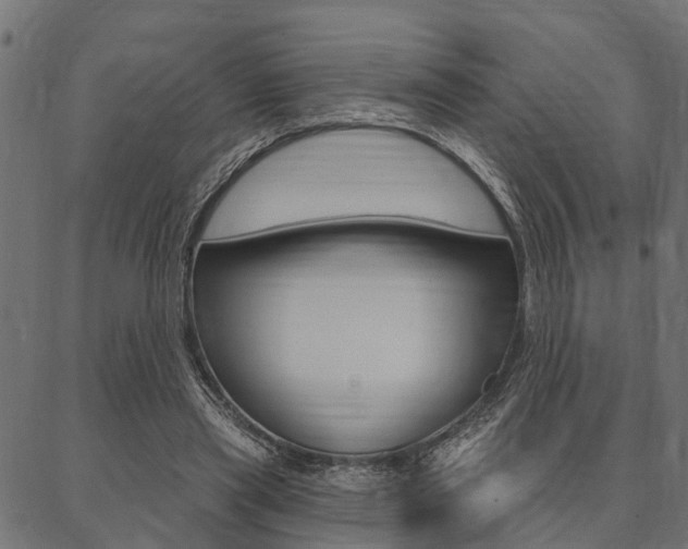X0000087040445200704180941