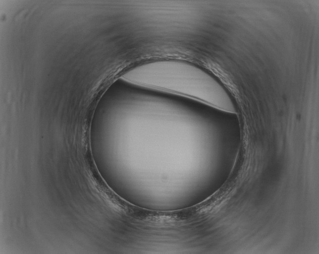 X0000087040449200704180941