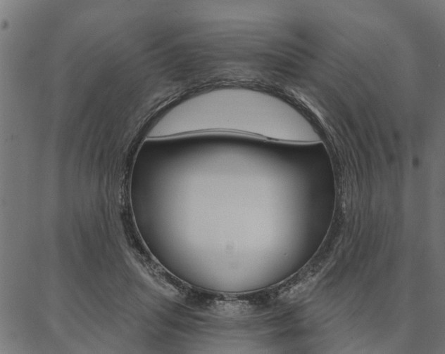 X0000087040455200704180941