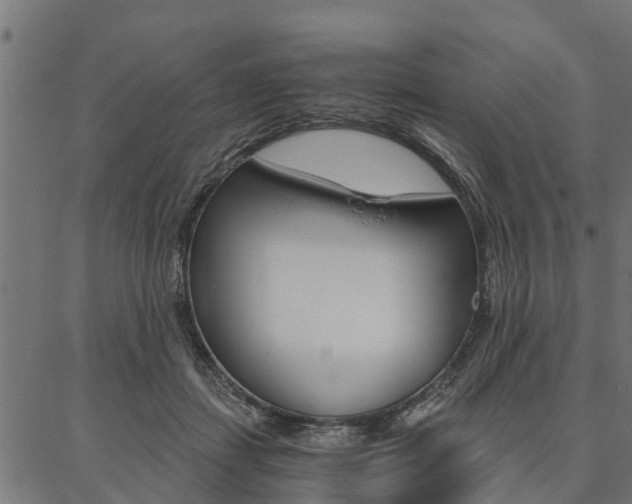 X0000087040459200704180941