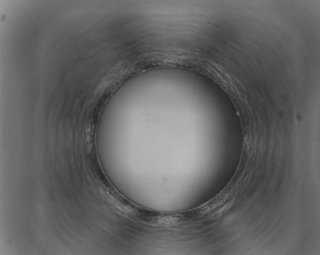 X0000087040462200704180941
