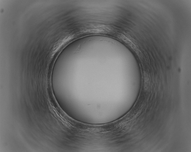 X0000087040482200704180941