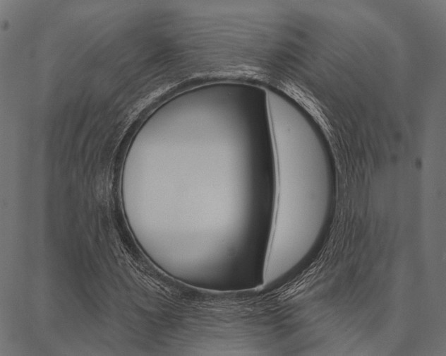 X0000087040483200704180941