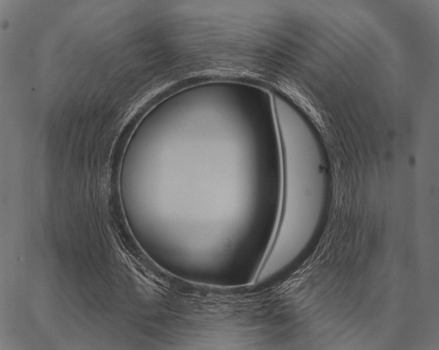 X0000087040484200704180941