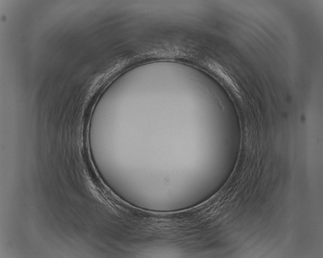 X0000087040486200704180941
