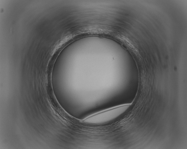 X0000087040488200704180941