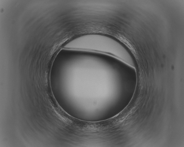 X0000087040489200704180941