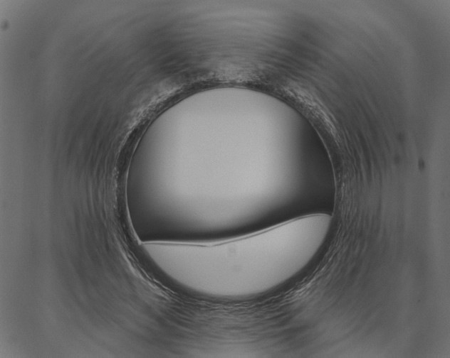 X0000087040492200704180941