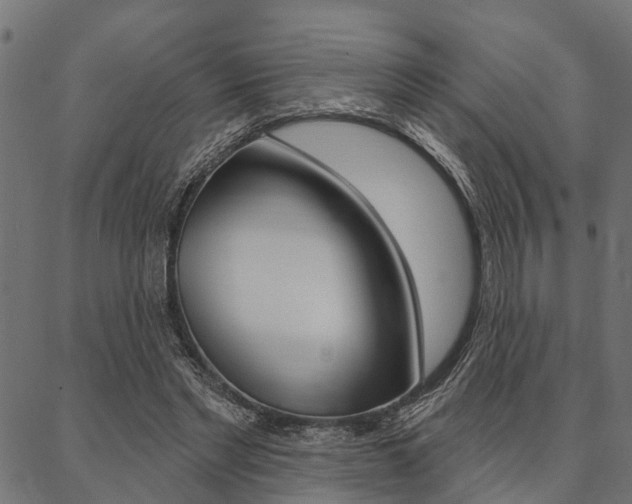 X0000087040493200704180941