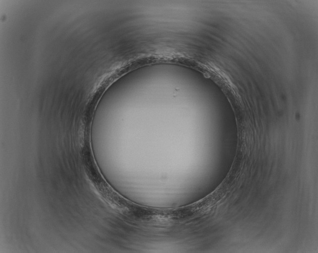 X0000087040496200704180941