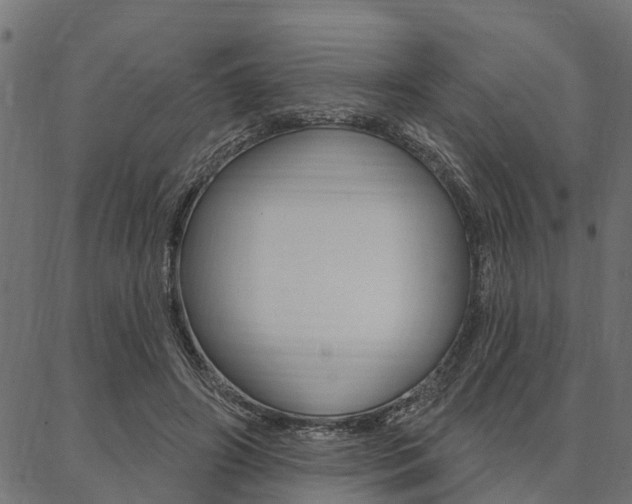 X0000087040498200704180941