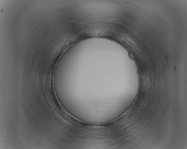 X0000087040499200704180941