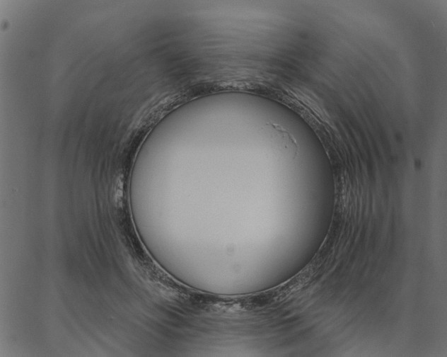 X0000087040502200704180941