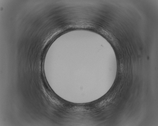 X0000087040534200704180939