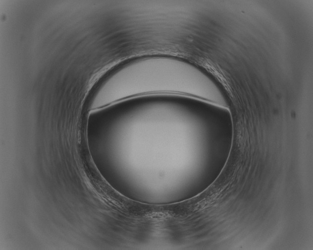 X0000087040536200704180939