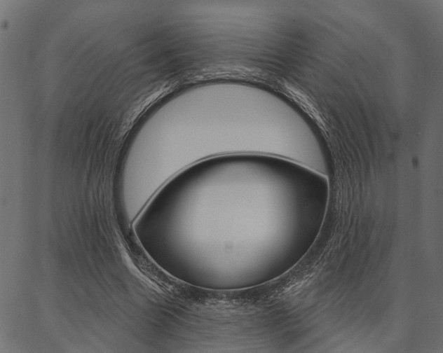 X0000087040538200704180939