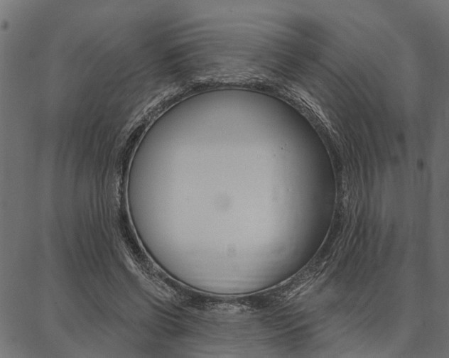X0000087040542200704180940