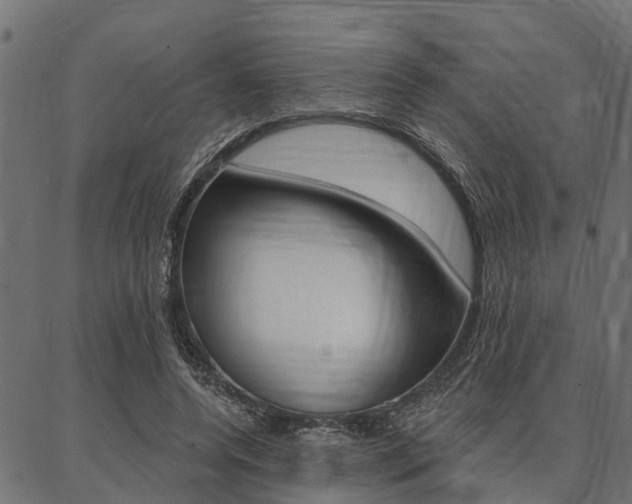 X0000087040544200704180940