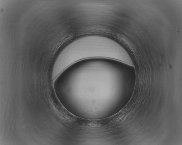 X0000087040546200704180940