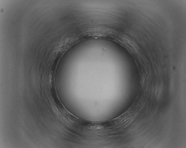 X0000087040551200704180940