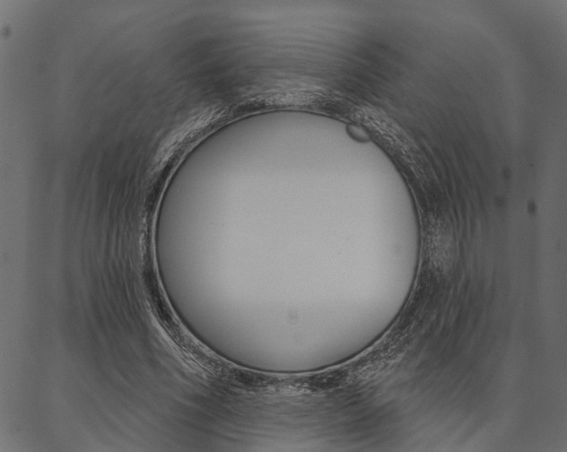 X0000087040586200704180939