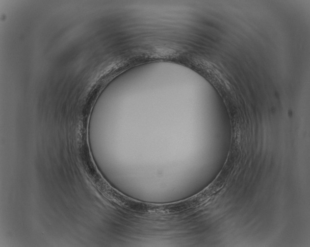 X0000087040591200704180939