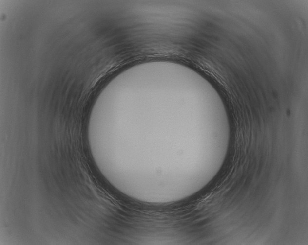 X0000087040595200704180939