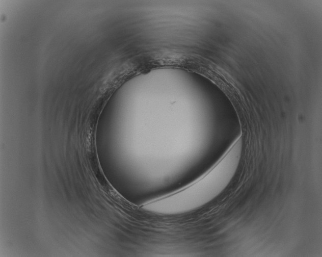 X0000087040604200704180939