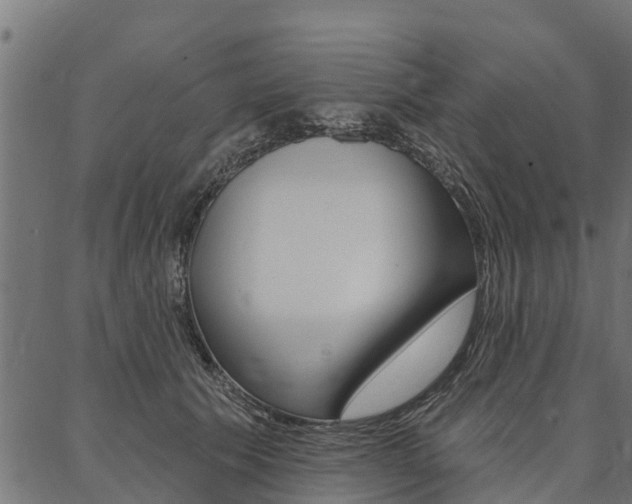 X0000087040609200704180939