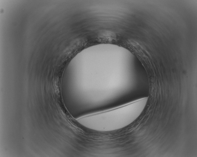 X0000087040616200704180939