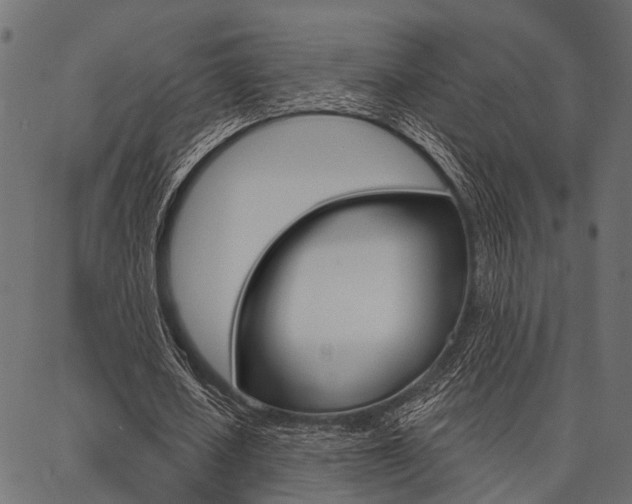 X0000087040626200704180938