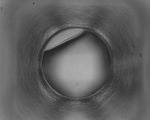 X0000087040631200704180938