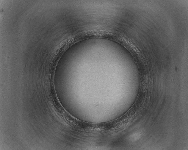 X0000087040639200704180938