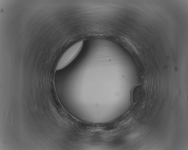 X0000087040643200704180938