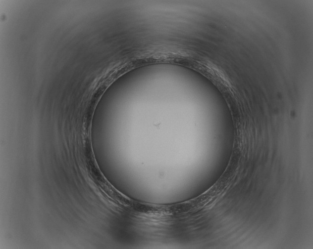 X0000087040644200704180938