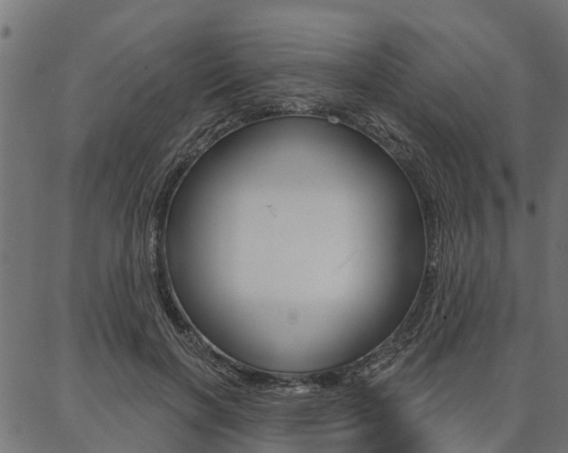 X0000087040646200704180938