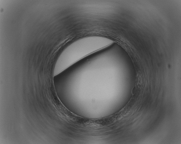 X0000087040648200704180938