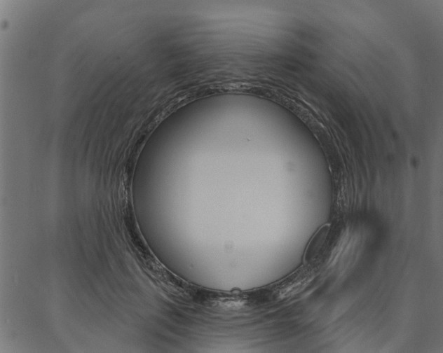 X0000087040651200704180938