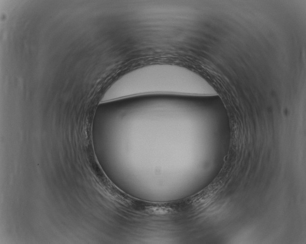 X0000087040654200704180938