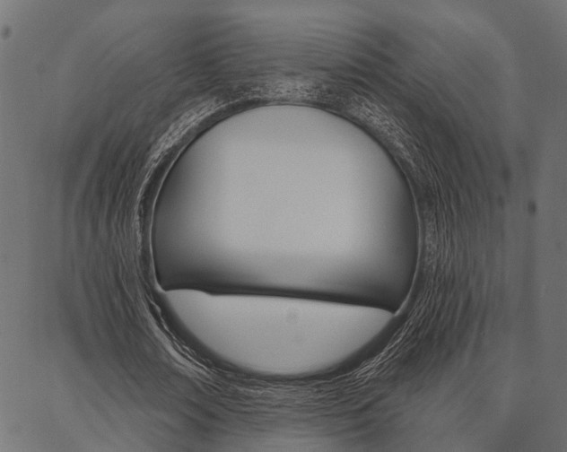 X0000087040674200704180938