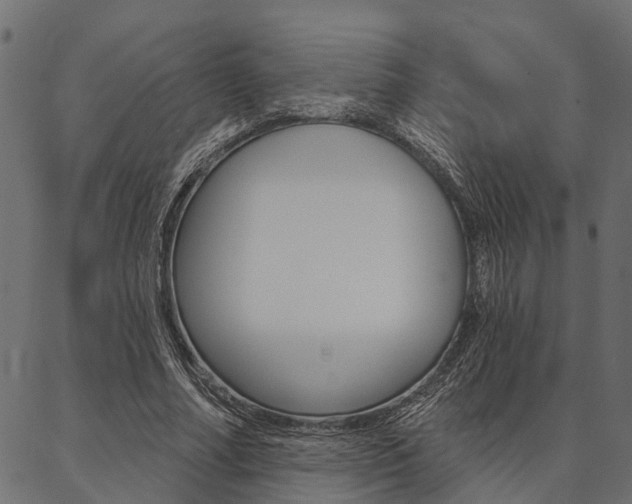 X0000087040682200704180938