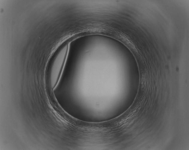X0000087040722200704180936