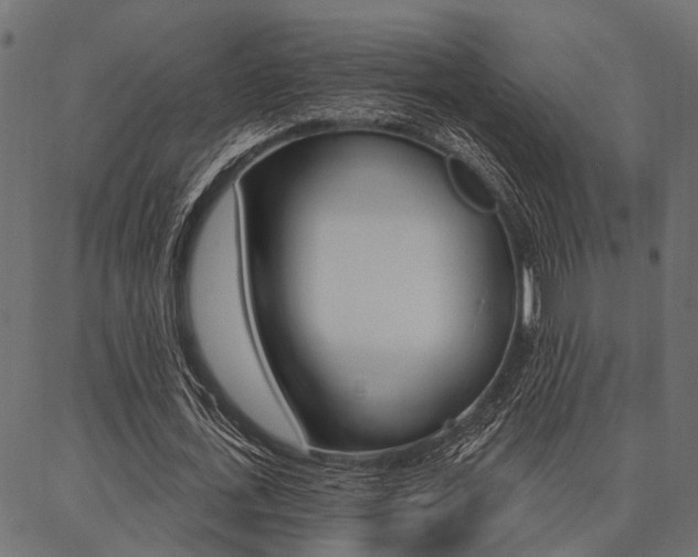 X0000087040723200704180936