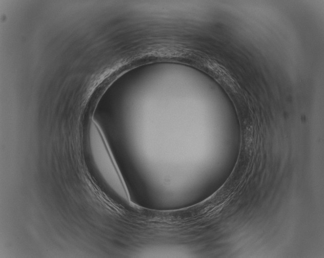 X0000087040727200704180936