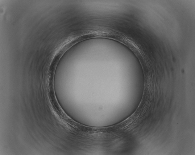 X0000087040730200704180936
