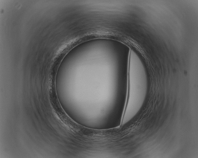 X0000087040732200704180936